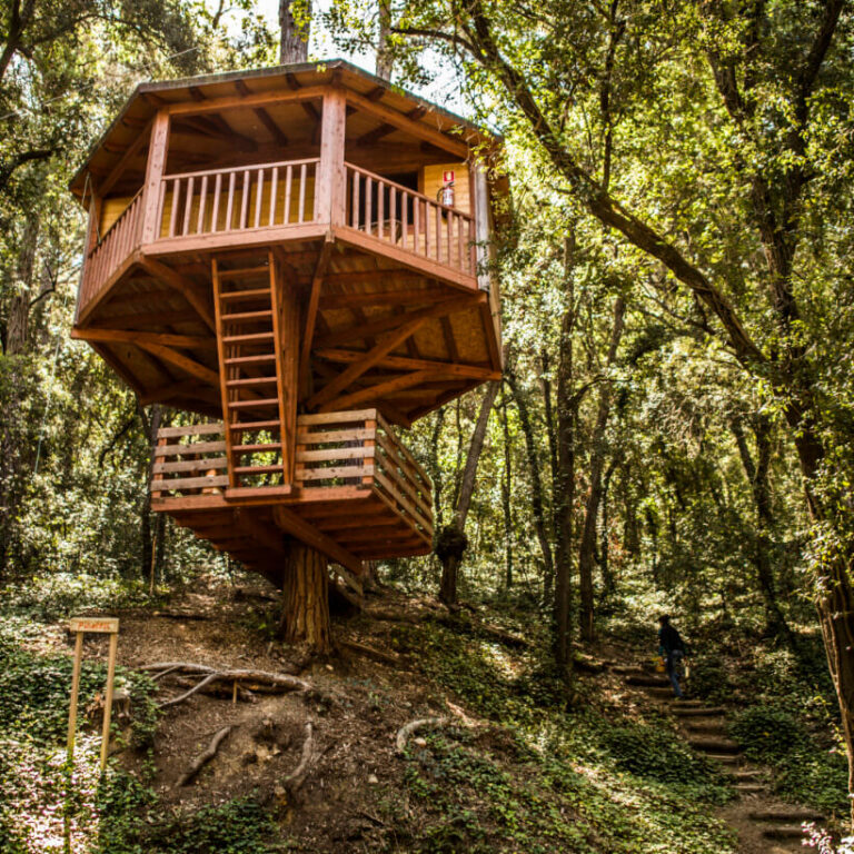 Lugar de eventos sostenible en una casa en el árbol en Barcelona, diseñado por MIT Creators DMC: eventos únicos y ecológicos rodeados de exuberante vegetación.