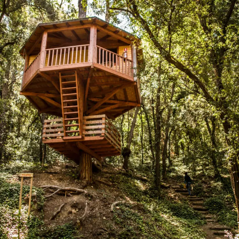 wood cabin in the woods around barcelona